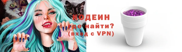 прущие грибы Армянск