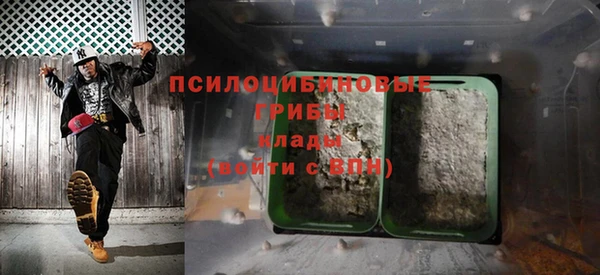 метадон Арсеньев