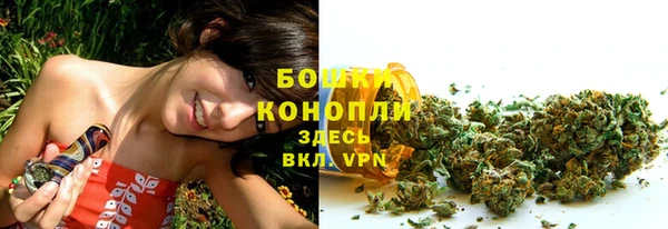хмурый Балабаново