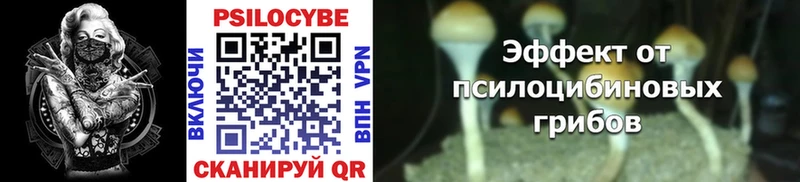 Галлюциногенные грибы Psilocybine cubensis  Полысаево 