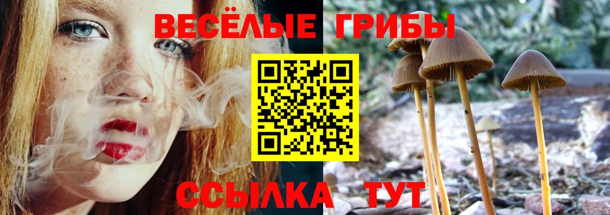 Галлюциногенные грибы прущие грибы Полысаево