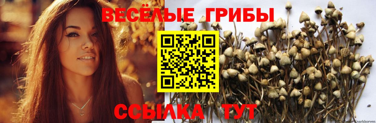 цена наркотик  Псилоцибиновые грибы Magic Shrooms  Полысаево  Вход с VPN  Псилоцибиновые грибы Psilocybe 